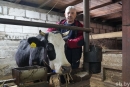 Задача сельисполкомов Могилевской области &mdash; стать генераторами развития личных подсобных хозяйств